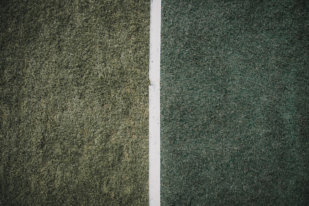 How FreshHikes.com Can Revitalize Your Carpets Today