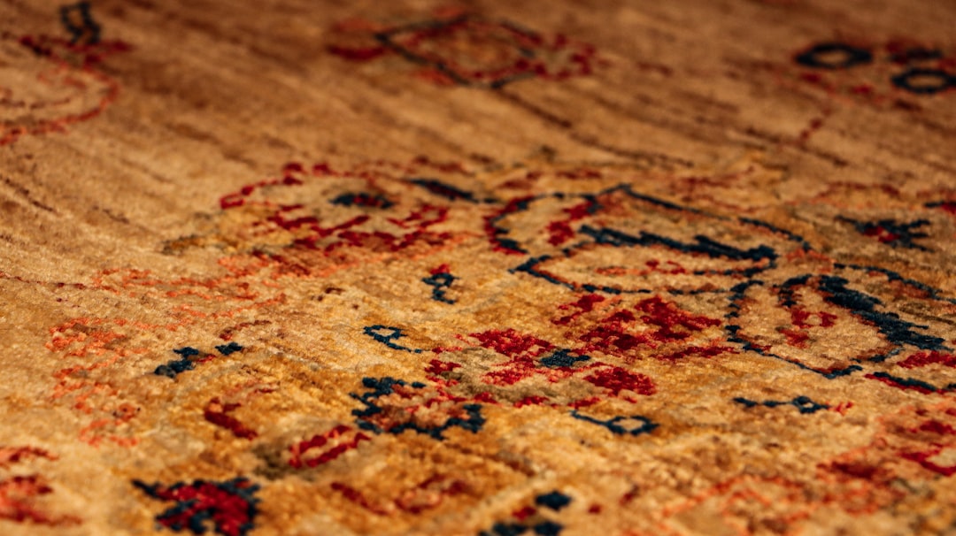 Transform Your Home with Expert Carpet Cleaning Services
